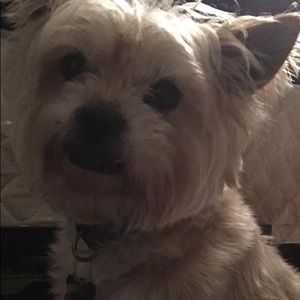 Meet your Posher, Patsy